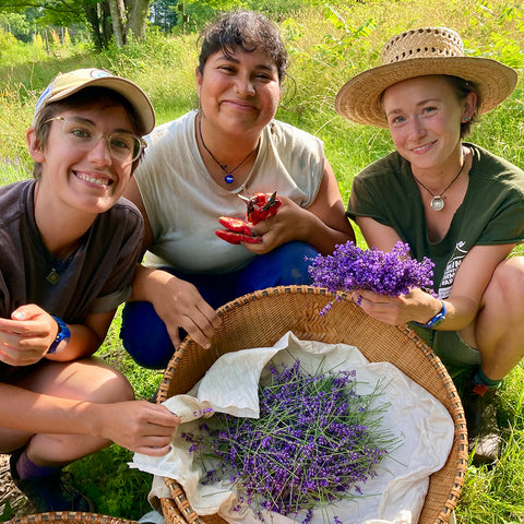 Donate to the Herbal Hummingbird Hub