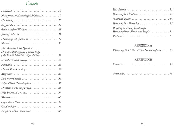 Notes from the Hummingbird Corridor: Poetry, Prose & Planting for Pollinators