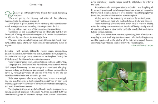 Notes from the Hummingbird Corridor: Poetry, Prose & Planting for Pollinators