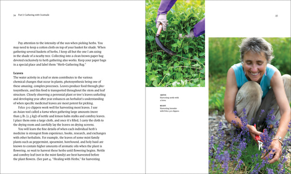 The Healing Garden: Herbs for Health and Wellness