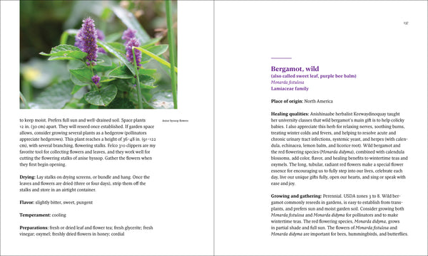 The Healing Garden: Herbs for Health and Wellness