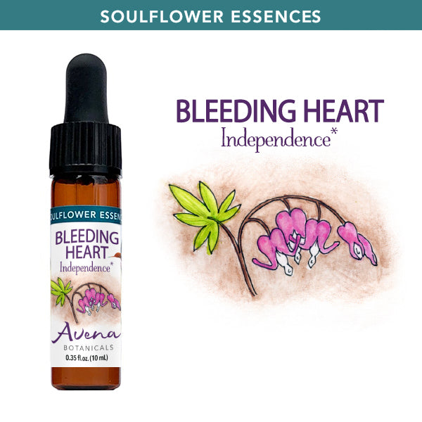 Bleeding Heart Soulflower Essence