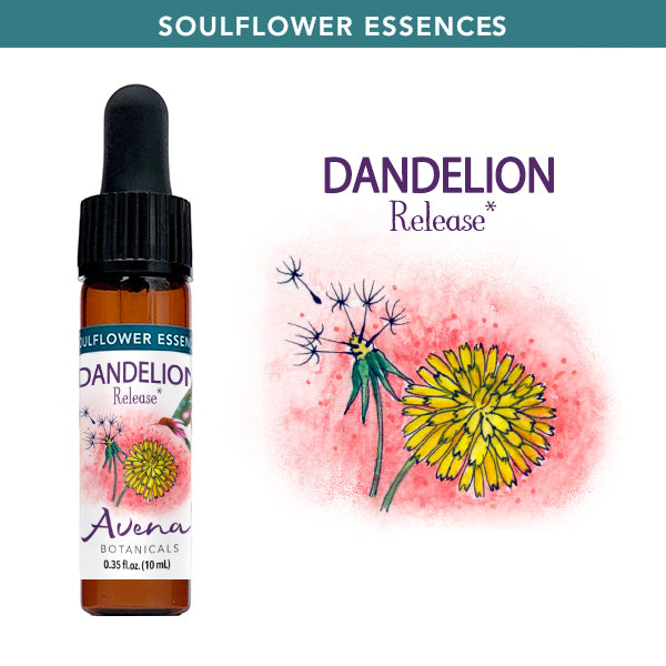 Dandelion Soulflower Essence - Avena Botanicals
