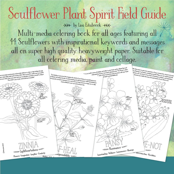 Soulflower Plant Spirit Field Guide