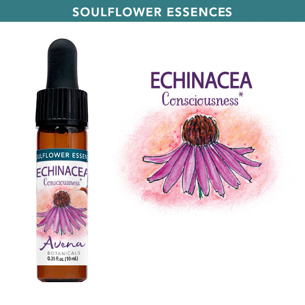Flower Essences Avena Botanicals