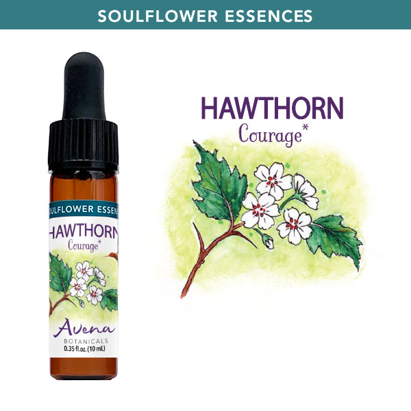 Hawthorn Soulflower Essence