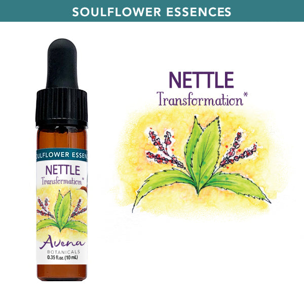 Nettle Soulflower Essence