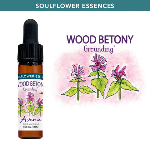 Wood Betony Soulflower Essence
