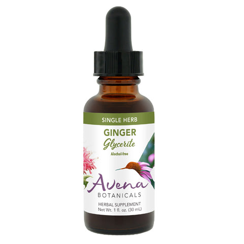 Ginger Glycerite - Alcohol Free
