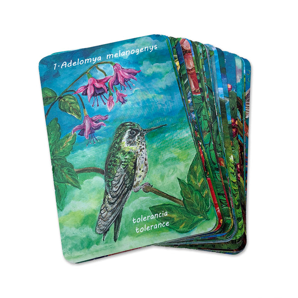 Oracle of the Hummingbirds Deck of Cards
