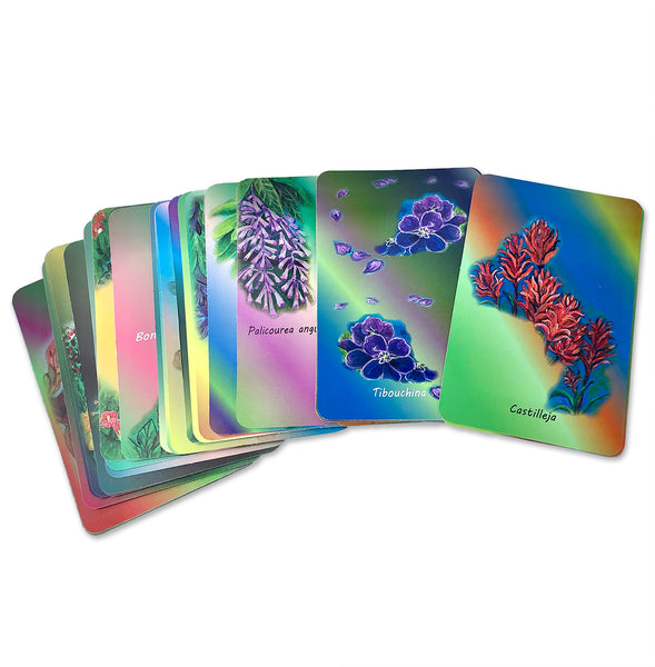 Oracle of the Hummingbirds Deck of Cards