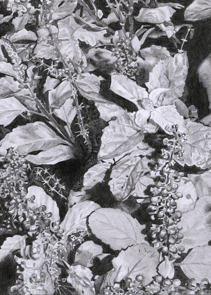 Adaptogens! Our Plant Partners for Peace in Changing Times