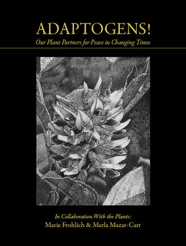 Adaptogens! Our Plant Partners for Peace in Changing Times