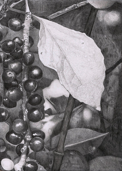 Adaptogens! Our Plant Partners for Peace in Changing Times