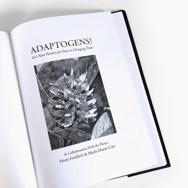 Adaptogens! Our Plant Partners for Peace in Changing Times