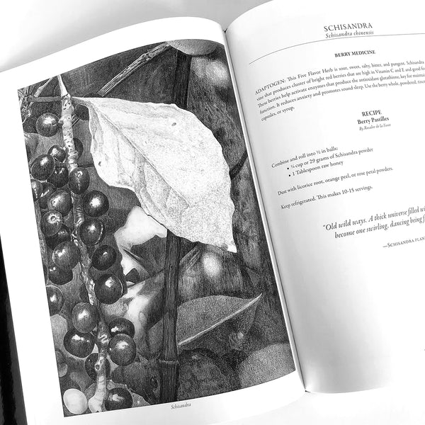 Adaptogens! Our Plant Partners for Peace in Changing Times