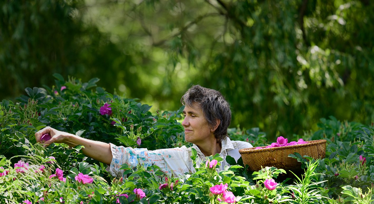 Healing Begins in the Garden - Meet Founder & Herbalist Deb Soule
